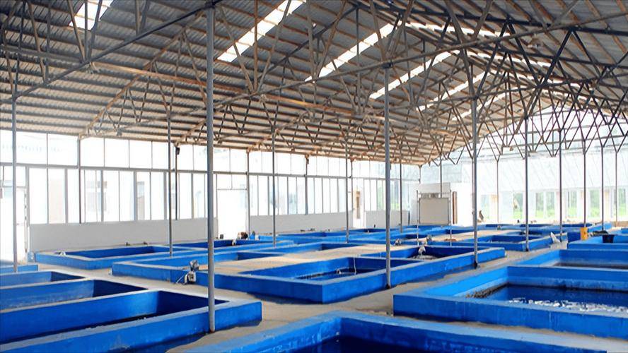 廣西恒洋農業開發智能化水產養殖 以科技賦能，開啟漁業新未來