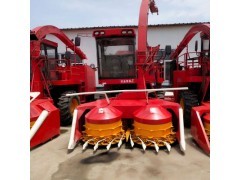 云芝蘑種植與畜牧漁業飼料產業協同發展探析