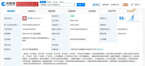高德在上海成立銷服科技公司，注冊資本100萬，聚焦信息技術咨詢服務